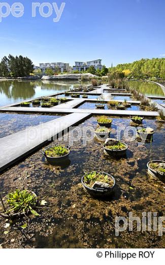 LE JARDIN BOTANIQUE , QUARTIER DE LA BASTIDE, VILLE DE BORDEAUX . (33F25508.jpg)