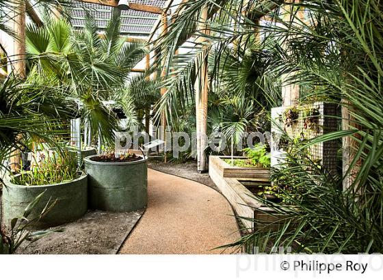 LE JARDIN BOTANIQUE , QUARTIER DE LA BASTIDE, VILLE DE BORDEAUX . (33F25519.jpg)