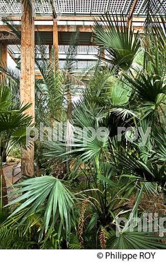 LE JARDIN BOTANIQUE , QUARTIER DE LA BASTIDE, VILLE DE BORDEAUX . (33F25522.jpg)