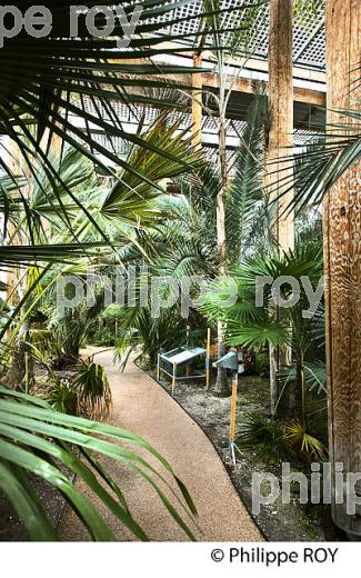 LE JARDIN BOTANIQUE , QUARTIER DE LA BASTIDE, VILLE DE BORDEAUX . (33F25523.jpg)