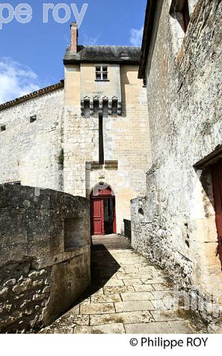 CHATEAU DE LA BREDE, MONTESQUIEU, PAYS DE  GRAVES, GIRONDE. (33F25826.jpg)