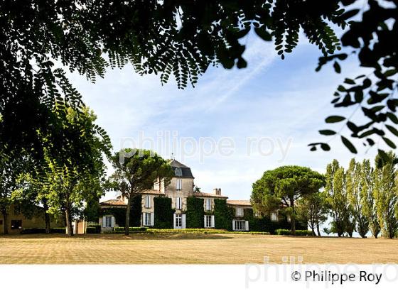 DOMAINE DE MALAGAR, FRANCOIS MAURIAC, SAINT MAIXANT, GIRONDE. (33F25927.jpg)