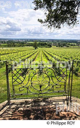 DOMAINE DE MALAGAR, FRANCOIS MAURIAC, SAINT MAIXANT, GIRONDE. (33F26007.jpg)