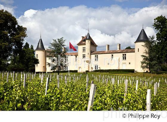 CHATEAU DE MALROME, TOULOUSE-LAUTREC,  SAINT ANDRE DU BOIS, ENTRE-DEUX-MERS, GIRONDE. (33F26036.jpg)