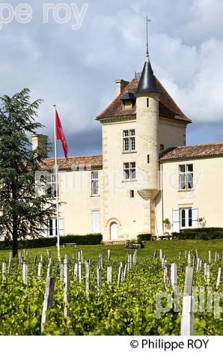 CHATEAU DE MALROME, TOULOUSE-LAUTREC,  SAINT ANDRE DU BOIS, ENTRE-DEUX-MERS, GIRONDE. (33F26105.jpg)