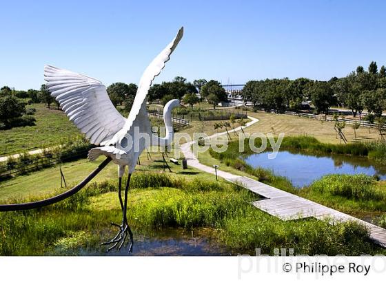 RESERVE NATURELLE TERRE D' OISEAUX, MARAIS DE CALLONGES, ESTUAIRE DE LA GIRONDE, HAUTE GIRONDE. (33F26235.jpg)