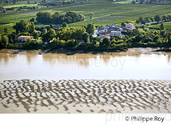 VASARD ET BANC DE SABLE , ESTUAIRE DE LA GIRONDE, AQUITAINE. (33F26314.jpg)