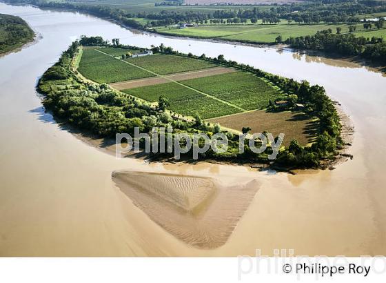 ILE MARGAUX ,ILES DE L' ESTUAIRE DE LA GIRONDE, AQUITAINE. (33F26318.jpg)