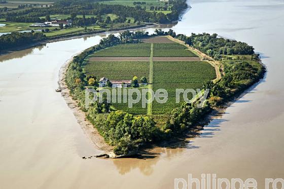 ILE MARGAUX ,ILES DE L' ESTUAIRE DE LA GIRONDE, AQUITAINE. (33F26319.jpg)