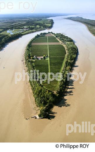 ILE MARGAUX ,ILES DE L' ESTUAIRE DE LA GIRONDE, AQUITAINE. (33F26323.jpg)