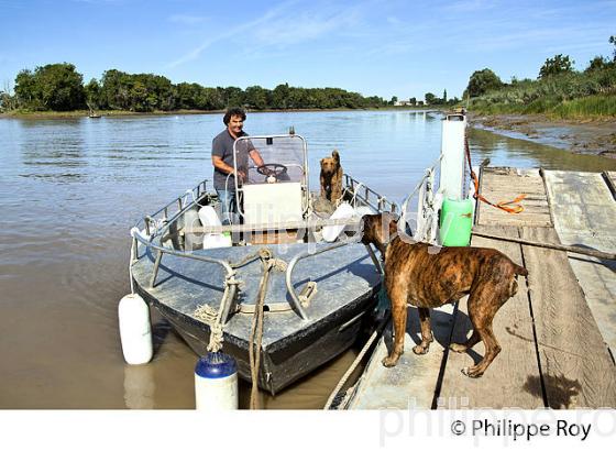 ILE MARGAUX ,ILES DE L' ESTUAIRE DE LA GIRONDE, AQUITAINE. (33F26331.jpg)