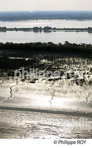 ILE NOUVELLE, CONSERVATOIRE DU LITTORAL, ILES DE L'  ESTUAIRE DE LA GIRONDE. (33F26512.jpg)