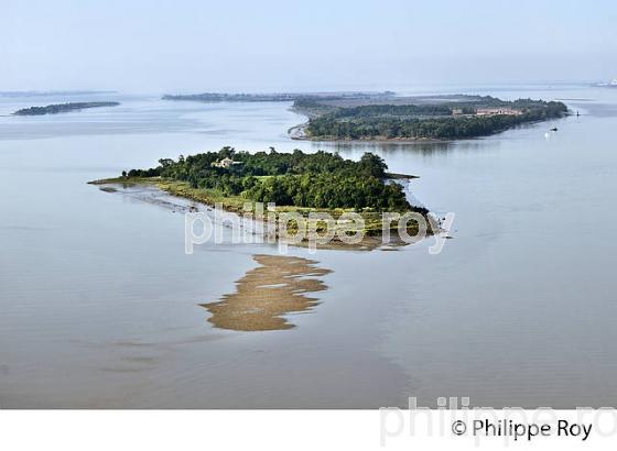 ILE ET FORT PATE, VERROU VAUBAN, ILES DE L' ESTUAIRE DE LA GIRONDE, AQUITAINE. (33F26607.jpg)