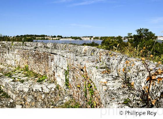 ILE ET FORT PATE, VERROU VAUBAN, ILES DE L' ESTUAIRE DE LA GIRONDE, AQUITAINE. (33F26702.jpg)