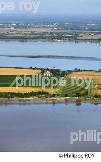 ILE DE PATIRAS , ILES DE L' ESTUAIRE DE LA GIRONDE, AQUITAINE. (33F26723.jpg)