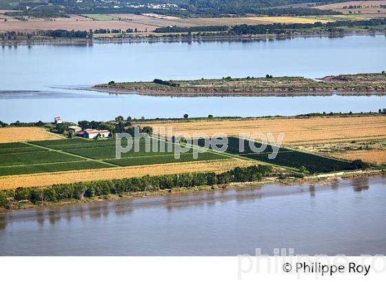 ILE DE PATIRAS , ILES DE L' ESTUAIRE DE LA GIRONDE, AQUITAINE. (33F26724.jpg)