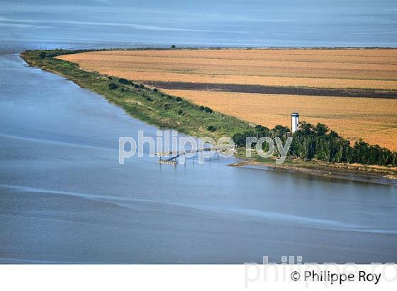 ILE DE PATIRAS , ILES DE L' ESTUAIRE DE LA GIRONDE, AQUITAINE. (33F26725.jpg)