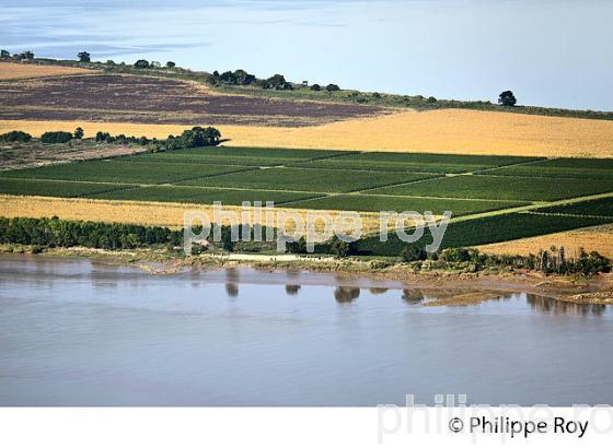 ILE DE PATIRAS , ILES DE L' ESTUAIRE DE LA GIRONDE, AQUITAINE. (33F26726.jpg)