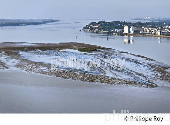 BANC DE SABLE, ESTUAIRE DE LA GIRONDE, BLAYE ,  AQUITAINE. (33F26809.jpg)