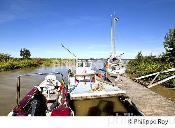 PORT DE  LAMARQUE, ESTUAIRE DE LA GIRONDE, MEDOC,  AQUITAINE. (33F26813.jpg)