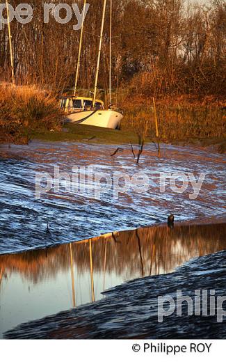 MAREE BASSE  SUR L' ESTUAIRE DE LA GIRONDE, LAMARQUE, MEDOC,  AQUITAINE. (33F26816.jpg)