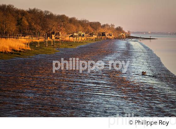 MAREE BASSE  SUR L' ESTUAIRE DE LA GIRONDE, LAMARQUE, MEDOC,  AQUITAINE. (33F26822.jpg)