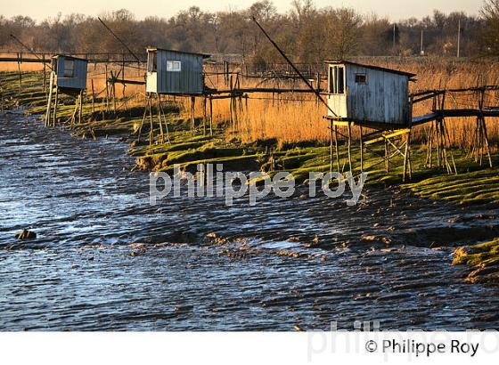 CARRELET DE PECHE,  ESTUAIRE DE LA GIRONDE, LAMARQUE, MEDOC,  AQUITAINE. (33F26823.jpg)