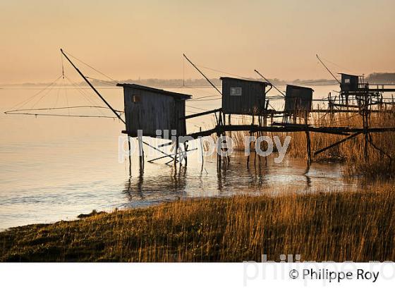 CARRELET DE PECHE,  ESTUAIRE DE LA GIRONDE, LAMARQUE, MEDOC,  AQUITAINE. (33F26824.jpg)