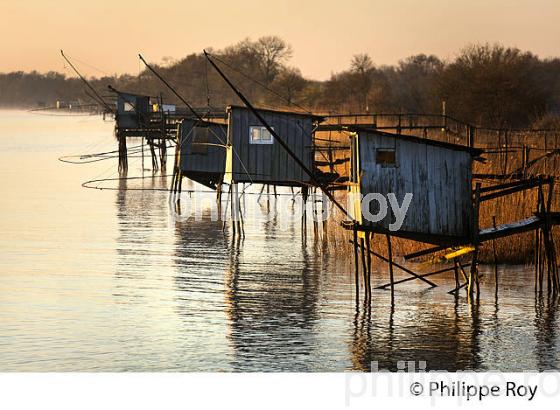 CARRELET DE PECHE,  ESTUAIRE DE LA GIRONDE, LAMARQUE, MEDOC,  AQUITAINE. (33F26825.jpg)