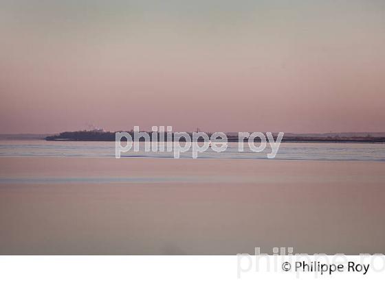 ESTUAIRE DE LA GIRONDE,LAMARQUE,  MEDOC,  AQUITAINE. (33F26828.jpg)