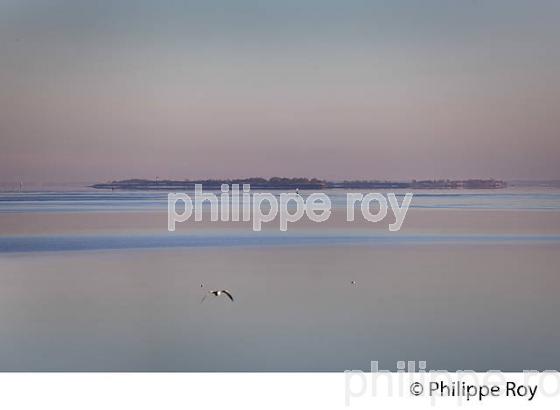 ESTUAIRE DE LA GIRONDE,LAMARQUE,  MEDOC,  AQUITAINE. (33F26829.jpg)