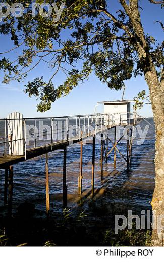 CARRELET DE PECHE SUR L' ESTUAIRE DE LA GIRONDE,  SAINT ESTEPHE, MEDOC,  AQUITAINE. (33F26939.jpg)