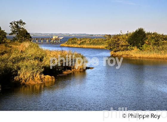 CARRELET DE PECHE SUR L' ESTUAIRE DE LA GIRONDE,  SAINT ESTEPHE, MEDOC,  AQUITAINE. (33F27003.jpg)