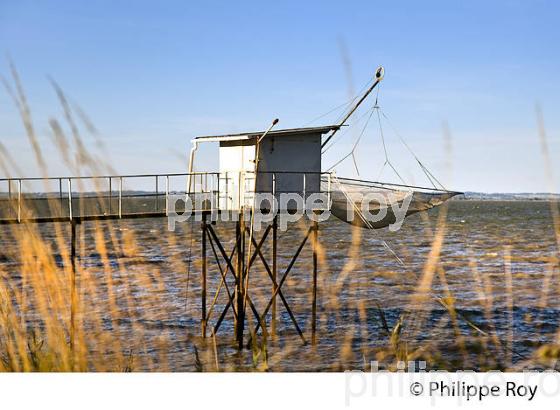 CARRELET DE PECHE SUR L' ESTUAIRE DE LA GIRONDE,  SAINT ESTEPHE, MEDOC,  AQUITAINE. (33F27006.jpg)