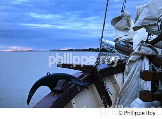 LA GOELETTE SINBAD , ESTUAIRE DE LA GIRONDE, AQUITAINE. (33F27034.jpg)