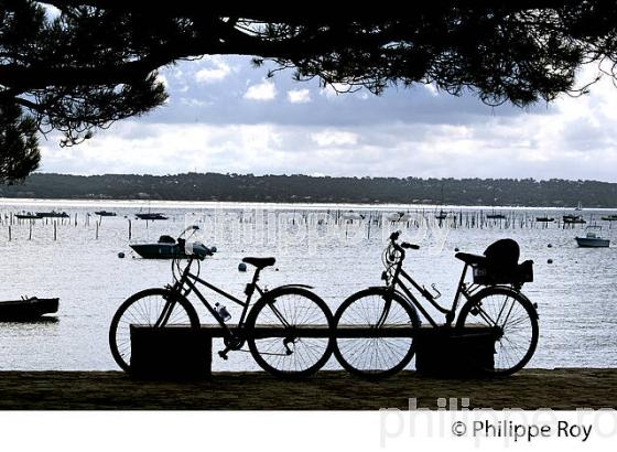 BELISAIRE, PRESQU' ILE DU CAP FERRET, BASSIN D' ARCACHON, GIRONDE. (33F27104.jpg)