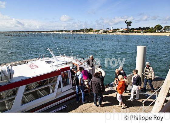 NAVETTE MARITIME , BELISAIRE, PRESQU' ILE DU CAP FERRET, BASSIN D' ARCACHON, GIRONDE. (33F27107.jpg)