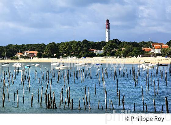 PARCS A HUITRES, BELISAIRE, PRESQU' ILE DU CAP FERRET, BASSIN D' ARCACHON, GIRONDE. (33F27110.jpg)