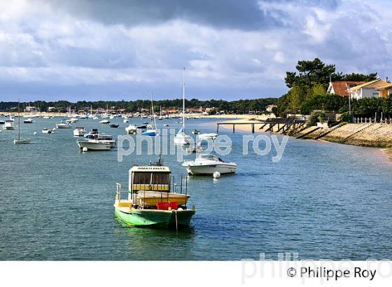 BELISAIRE, PRESQU' ILE DU CAP FERRET, BASSIN D' ARCACHON, GIRONDE. (33F27111.jpg)