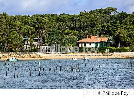 PARCS A HUITRES, BELISAIRE, PRESQU' ILE DU CAP FERRET, BASSIN D' ARCACHON, GIRONDE. (33F27113.jpg)