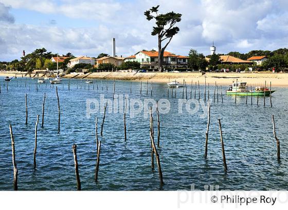 PARCS A HUITRES, BELISAIRE, PRESQU' ILE DU CAP FERRET, BASSIN D' ARCACHON, GIRONDE. (33F27121.jpg)