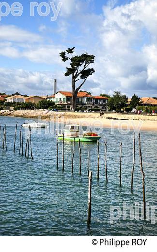 PARCS A HUITRES, BELISAIRE, PRESQU' ILE DU CAP FERRET, BASSIN D' ARCACHON, GIRONDE. (33F27122.jpg)