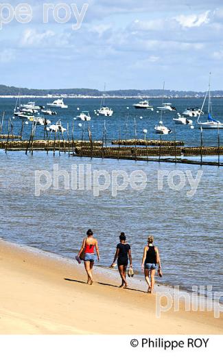 PLAGE DE  BELISAIRE, PRESQU' ILE DU CAP FERRET, BASSIN D' ARCACHON, GIRONDE. (33F27124.jpg)