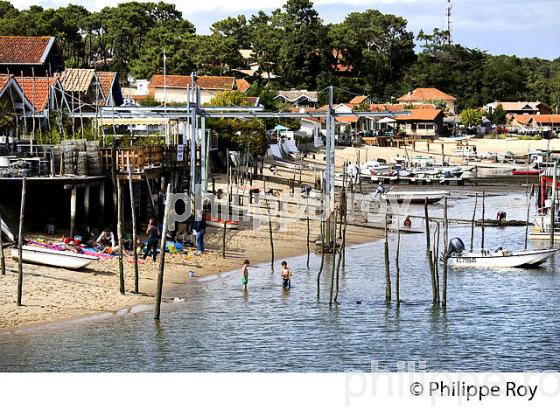 LE CANON, PRESQU' ILE DU CAP FERRET, BASSIN D' ARCACHON, GIRONDE. (33F27201.jpg)