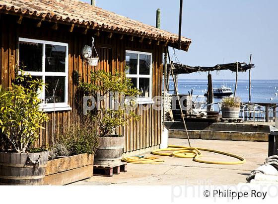 VILLAGE OSTREICOLE  DE L' HERBE, PRESQU' ILE DU CAP FERRET, BASSIN D' ARCACHON, GIRONDE. (33F27216.jpg)
