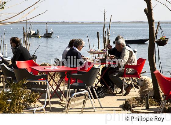 VILLAGE OSTREICOLE  DE L' HERBE, PRESQU' ILE DU CAP FERRET, BASSIN D' ARCACHON, GIRONDE. (33F27217.jpg)