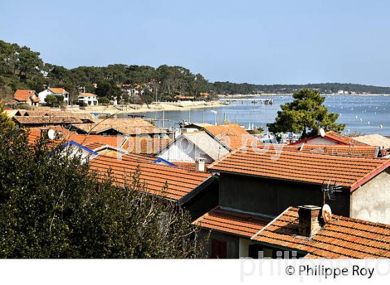 VILLAGE OSTREICOLE  DE L' HERBE, PRESQU' ILE DU CAP FERRET, BASSIN D' ARCACHON, GIRONDE. (33F27218.jpg)