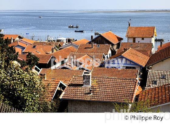 VILLAGE OSTREICOLE  DE L' HERBE, PRESQU' ILE DU CAP FERRET, BASSIN D' ARCACHON, GIRONDE. (33F27219.jpg)