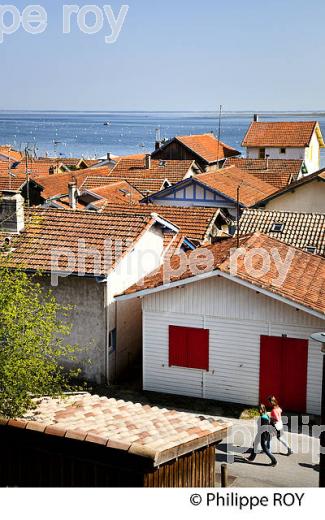 VILLAGE OSTREICOLE  DE L' HERBE, PRESQU' ILE DU CAP FERRET, BASSIN D' ARCACHON, GIRONDE. (33F27223.jpg)