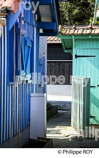 VILLAGE OSTREICOLE  DE L' HERBE, PRESQU' ILE DU CAP FERRET, BASSIN D' ARCACHON, GIRONDE. (33F27224.jpg)